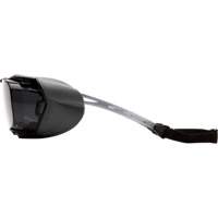 Cappture Plus Safety Goggles, Grey Lens, Anti-Fog, Closed Vent Action Paper