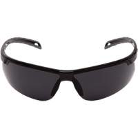 Ever-Lite&reg; Safety Glasses, Dark Grey Lens, ANSI Z87+/Meets/Exceeds CSA Z94.3 Action Paper