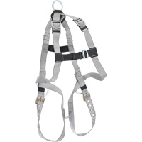B-Compliant Safety Harness, CSA Certified, Class AEP Action Paper