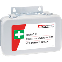 Dynamic First Aid Kit, Meets/Exceeds CSA Z1220-24 Type 1 Personal, Personal (1 Worker) Action Paper