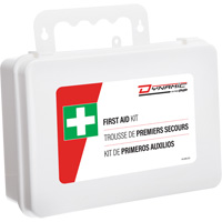 Dynamic First Aid Kit, Meets/Exceeds CSA Z1220-24 Type 2 Low-Risk Environment, Large (51-100 Workers) Action Paper