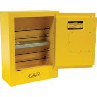 Armoire de s&eacute;curit&eacute; miniature pour produits inflammables, 2 gal., 1 Porte(s), 17" La x 22" h x 8" p Action Paper