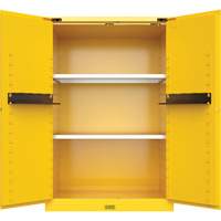 Armoire de s&eacute;curit&eacute; pour produits inflammables Utili-Guard+, 45 gal., 2 Porte(s), 43" La x 65" h x 22" p Action Paper