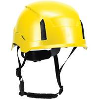 Standard Hard Hats