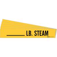 Marqueurs de tuyau LB. Steam, Autocollant, 2-1/4" h x 2-3/4" la, Noir sur jaune Action Paper