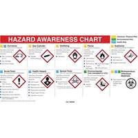 Mini MSDS Chart- English Action Paper