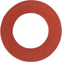 Replacement Inhalation Gaskets Action Paper