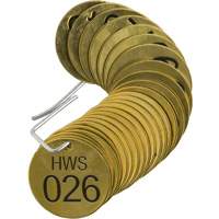 Numbered "HWS" Valve Tags, # 026-050, Brass, 1.5" dia Action Paper