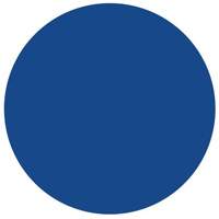 Round Write-On Labels, Circle, 1.5" L x 1.5" W, Blue Action Paper