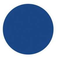 Round Write-On Labels, Circle, 3" L x 3" W, Blue Action Paper