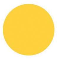 Round Write-On Labels, Circle, 3" L x 3" W, Yellow Action Paper