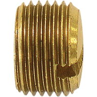 Pipe Plug (Slotted), 1/8" Dia., Brass Action Paper
