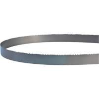 Welded Bandsaw Blade, Bi-Metal, 14' L x 1" W x 4 - 6 TPI Action Paper