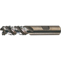 PM Plus Single End Roughers, Powder Metal, 3-Flute, Centre Cutting, Square End, 3/4" Dia. Action Paper