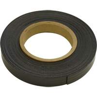 Magnetic Strips, 100' L x 1" W, 1/16" Thickness, Strength of 6 lbs. per Lin. Ft. Action Paper