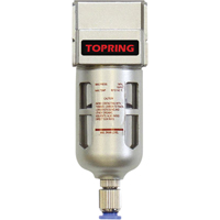 Filters, Modular, 1/4" NPT, Semi-Automatic Drain, For Water Action Paper