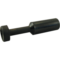 P.t.c. Plug Action Paper