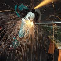 Angle Grinder with AC/DC Switch, 5", 10.5 A, 11000 RPM Action Paper
