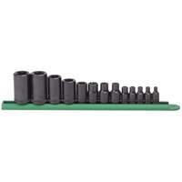 Jeu de douilles externes Torx, Prise 1/2"/1/4"/3/8" Action Paper
