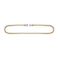 Chaîne d'attache avec crochets &agrave; manille  Action Paper