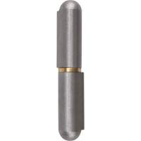 Weld-On Hinge, 0.453" Dia. x 2.756" L, Mild Steel w/Fixed Steel Pin TTV435 | Action Paper