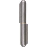 Weld-On Hinge, 0.787" Dia. x 5.906" L, Mild Steel w/Fixed Steel Pin TTV442 | Action Paper
