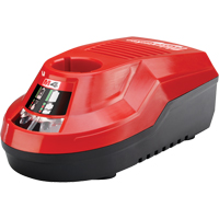 Chargeur M4 , 4 V, Lithium-ion Action Paper