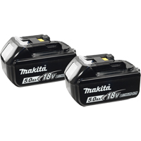 Batteries, Lithium-Ion, 18 V, 5.0 A Action Paper