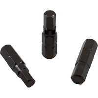 Insert Bit, Hex, 0.05, 1/4" Drive Action Paper