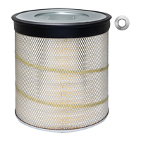 PA2839 Air Element With Lift Tabs Action Paper