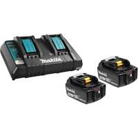 Li-Ion Battery & Dual-Port Charger Kit, 18 V, Lithium-Ion Action Paper