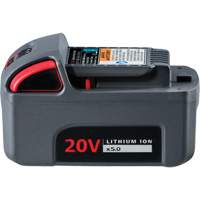 IQV20 High Capacity Battery, Lithium-Ion, 20 V, 5 Ah Action Paper