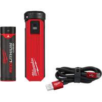 Trousse d'alimentation et de chargeur USB Redlithium, 4 V, Lithium-ion Action Paper
