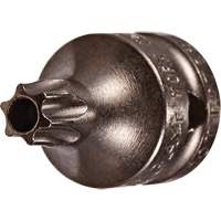 Embout &agrave; ins&eacute;rer, Torx inviolable, 8 x 3/4" lo, Prise 1/4" Action Paper