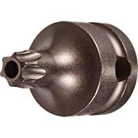 Embout &agrave; ins&eacute;rer, Torx inviolable, 25 x 1" lo, Prise 3/8" Action Paper