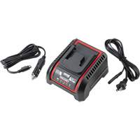 2.5 Ah & 5.0 Ah Battery Charger, 120 V, Lithium-Ion UAK313 | Action Paper