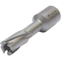Core Cut Annular Cutter with Weldon Shank, 12 mm Diameter, Carbide, 30 mm Depth of Cut, 3/4" Shank Action Paper