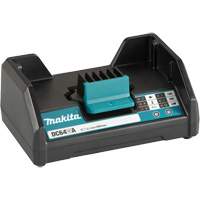 DC64WA Standard Battery Charger, 64 V, Lithium-Ion Action Paper