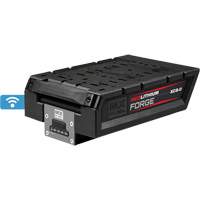 Bloc-pile HD8.0 MX Fuel RedLithium Forge Action Paper