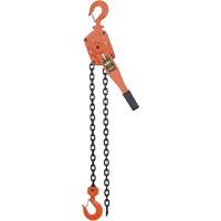 VLP Series Chain Hoists, 5' Lift, 6000 lbs. (3 tons) Capacity, Steel Chain UAW094 | Action Paper