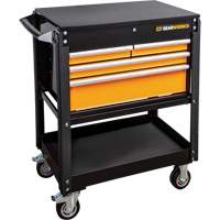 Jeu d'outils pour maître m&eacute;canicien MEGAMOD dans des plateaux en mousse modulaire de premi&egrave;re qualit&eacute; avec rangement d'outils, 1268 morcea Action Paper