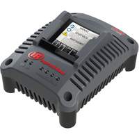 IQV20 Compact Battery Charger, 20 V, Lithium-Ion Action Paper