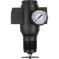 Aluminum Regulator, 1-1/2" NPT, 300 psi Max. PSI, In Line Action Paper