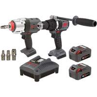Hammer Drill & Impact Wrench Combo Kit, Lithium-Ion, 20 V Action Paper