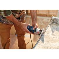 Colt Electronic Variable-Speed Palm Router Action Paper