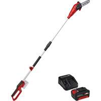 Cordless Pole Chain Saw with 4Ah Battery & Charger Starter Kit Action Paper