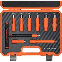 Insulated T-Handle & Hex Bit Set with Case, 1000 V, 9 Pcs Action Paper