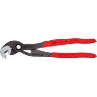 Pince Raptor, 10" Action Paper