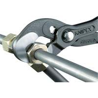 Pince Raptor, 10" Action Paper