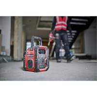 TE-CR 18 Li DAB+/FM/BT Cordless Radio (Tool Only), Lithium-Ion, 18 V Action Paper